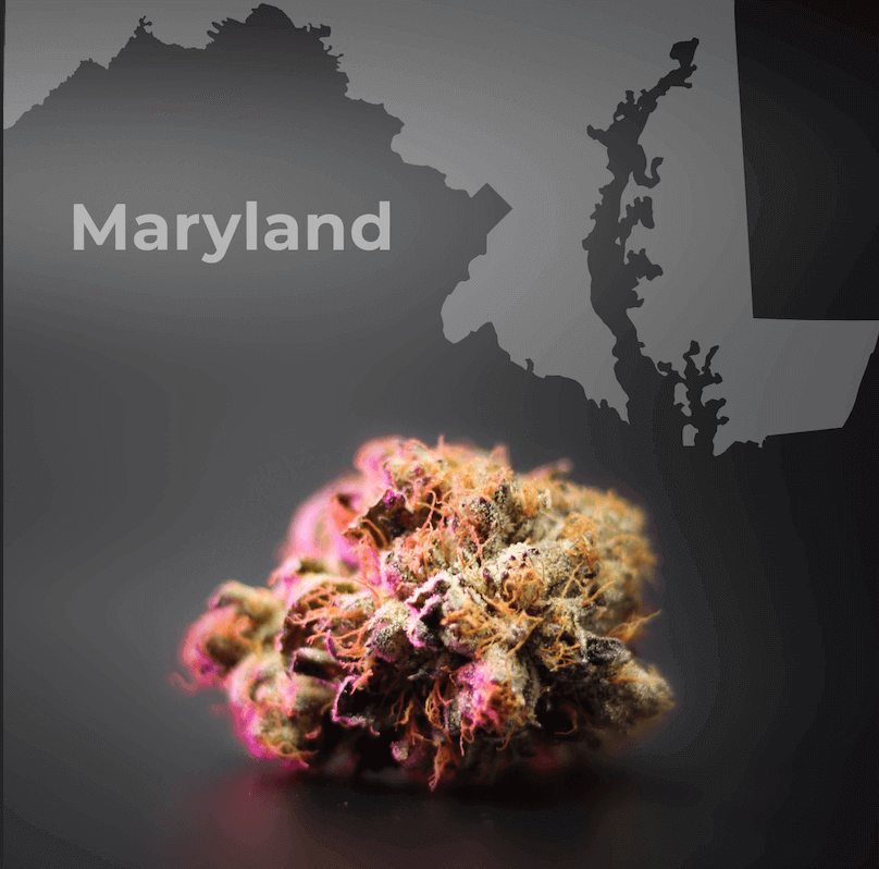 how to open a dispensary in Maryland