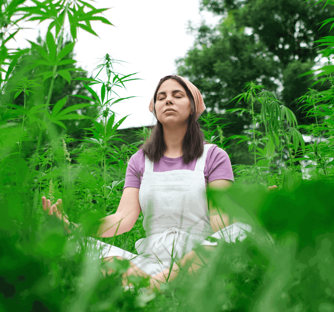 cannabis wellness centers