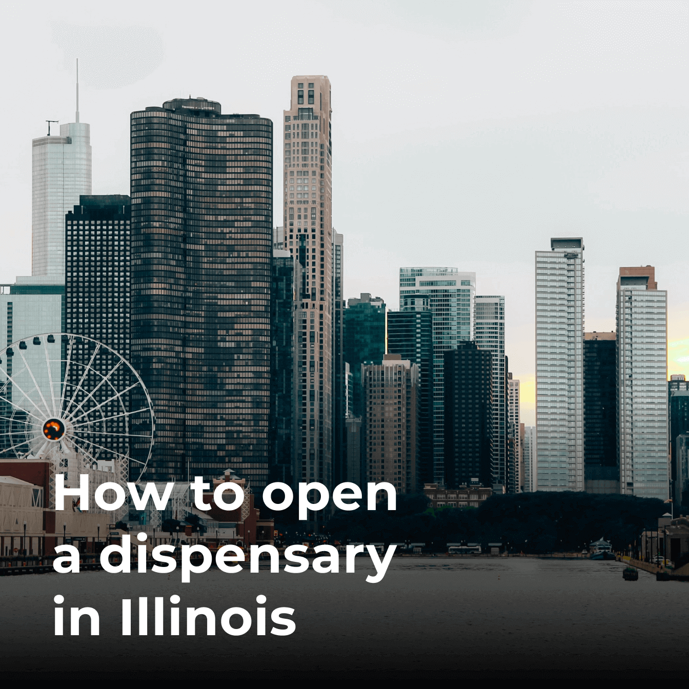 How to Open a Dispensary in Illinois