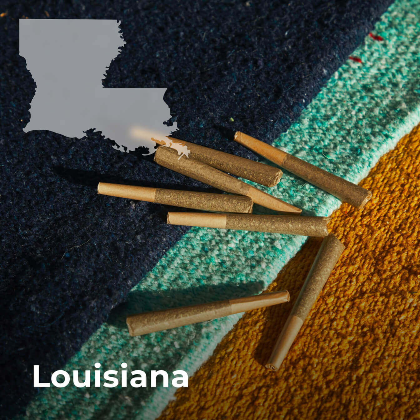 opening a dispensary Louisiana