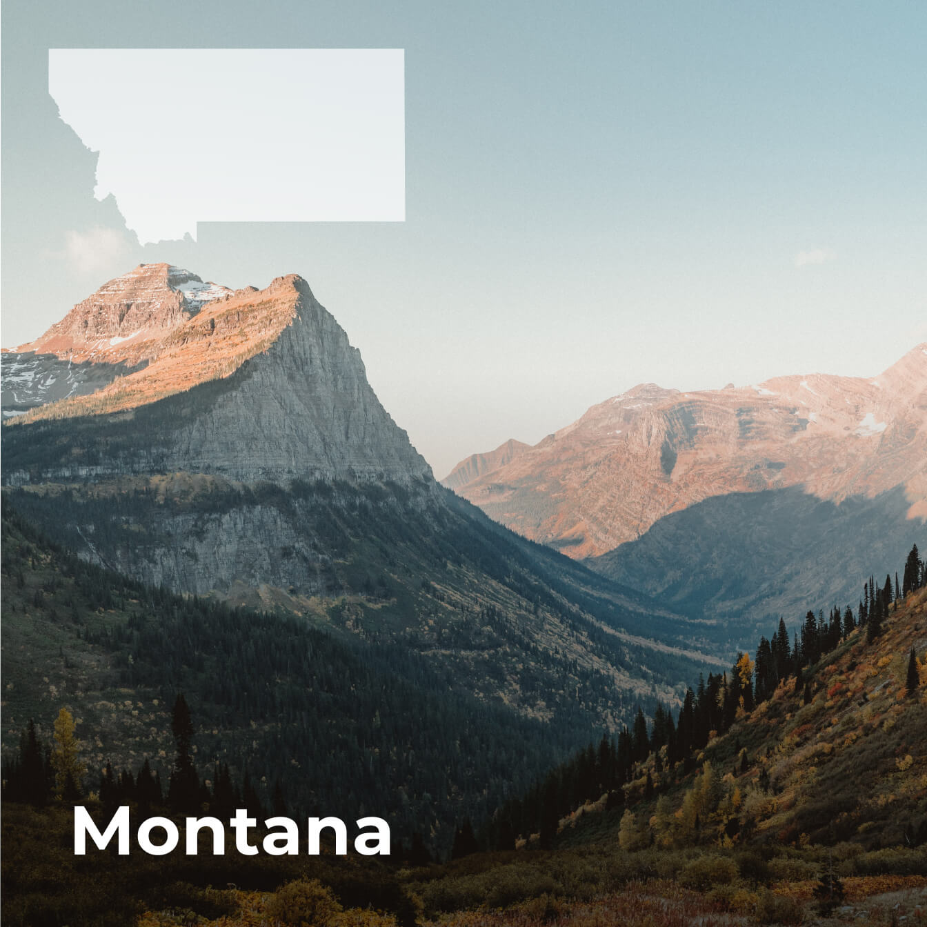 How to Open a Dispensary in Montana 