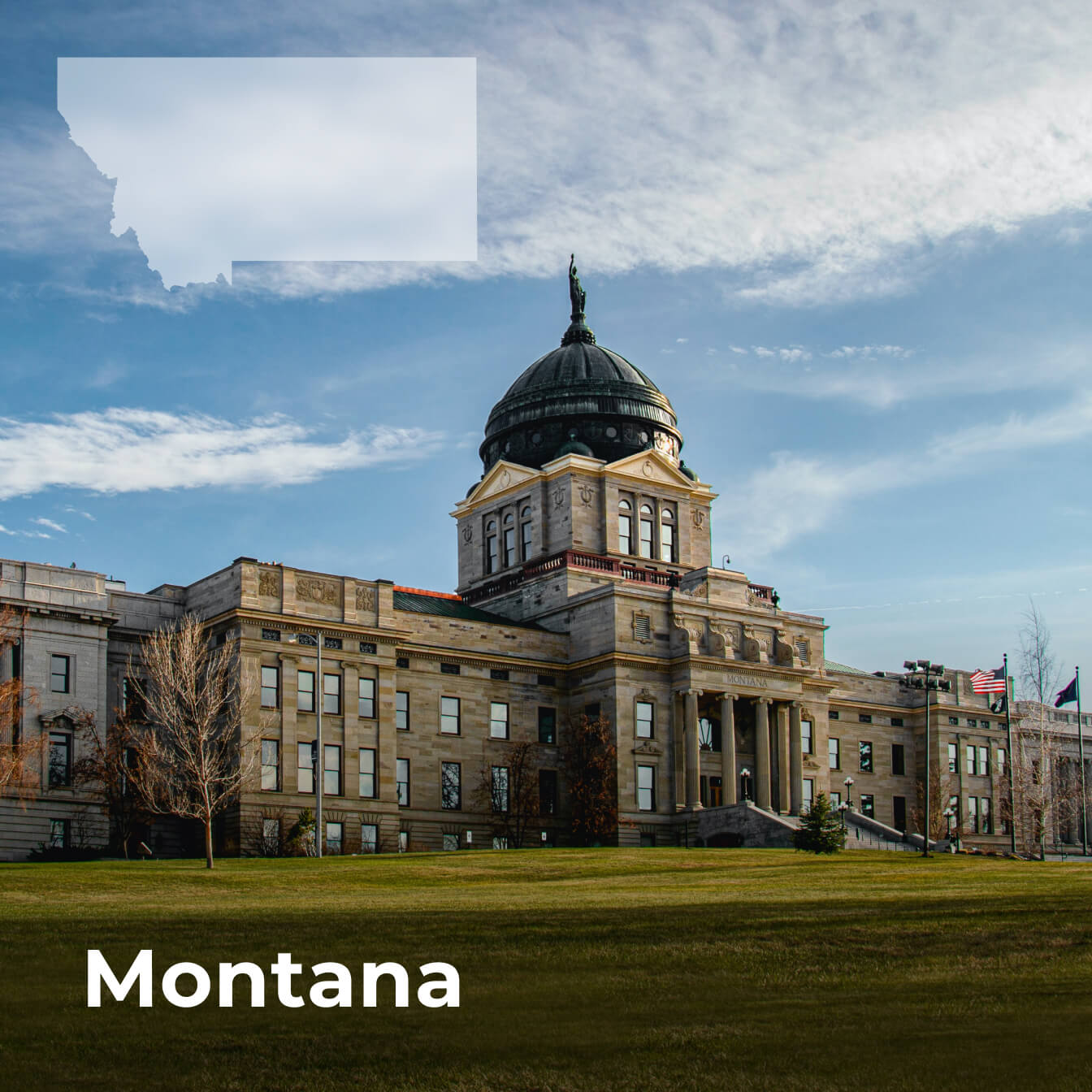 Montana Weed Laws