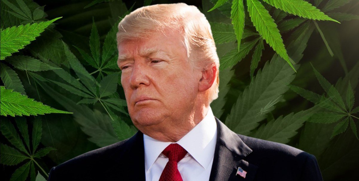 Trump Cannabis legalization