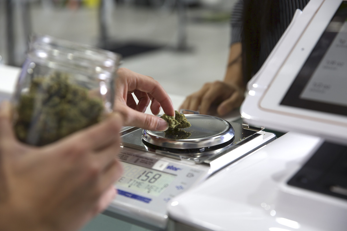 Medical Marijuana Dispensary Scales Review & Buying Guide -   Learning Hub