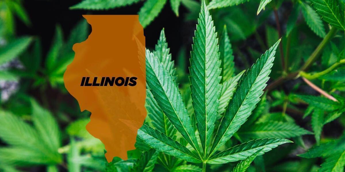 Illinois cannabis sales