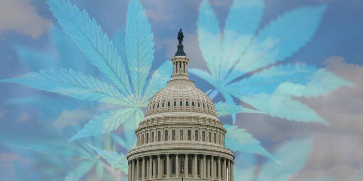 federal cannabis legalization