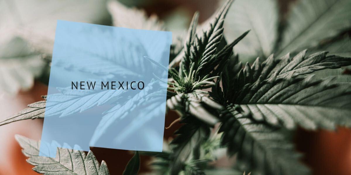 New Mexico Cannabis Legalization