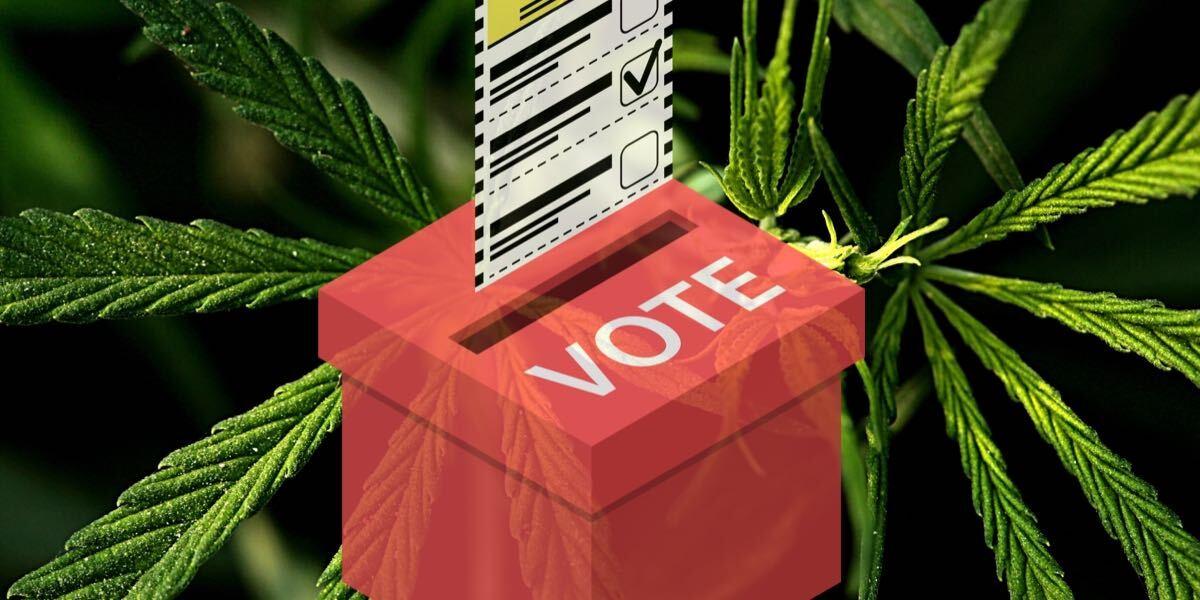 cannabis election