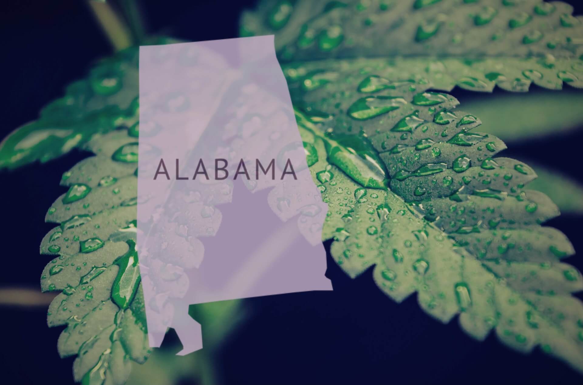 Alabama Judiciary Committee Approves Cannabis Decriminalization Bill