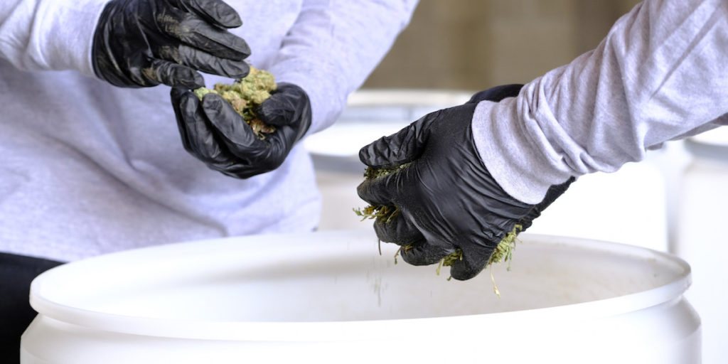 Guide to Marijuana Disposal for Cannabis Retailers