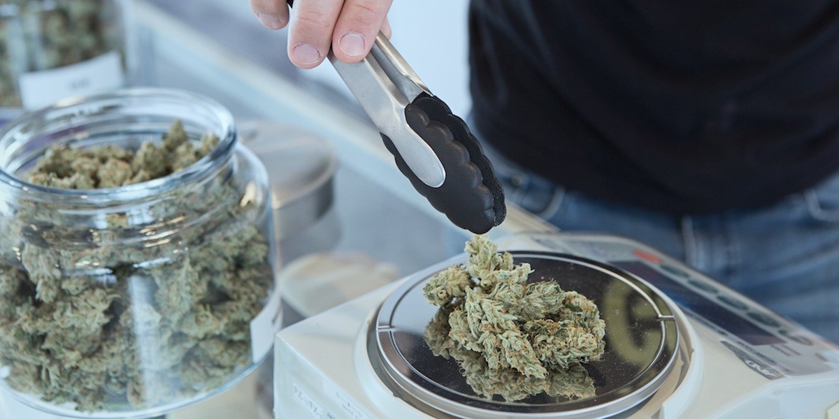 Top 5 Best Scales for Marijuana Dispensaries - IndicaOnline